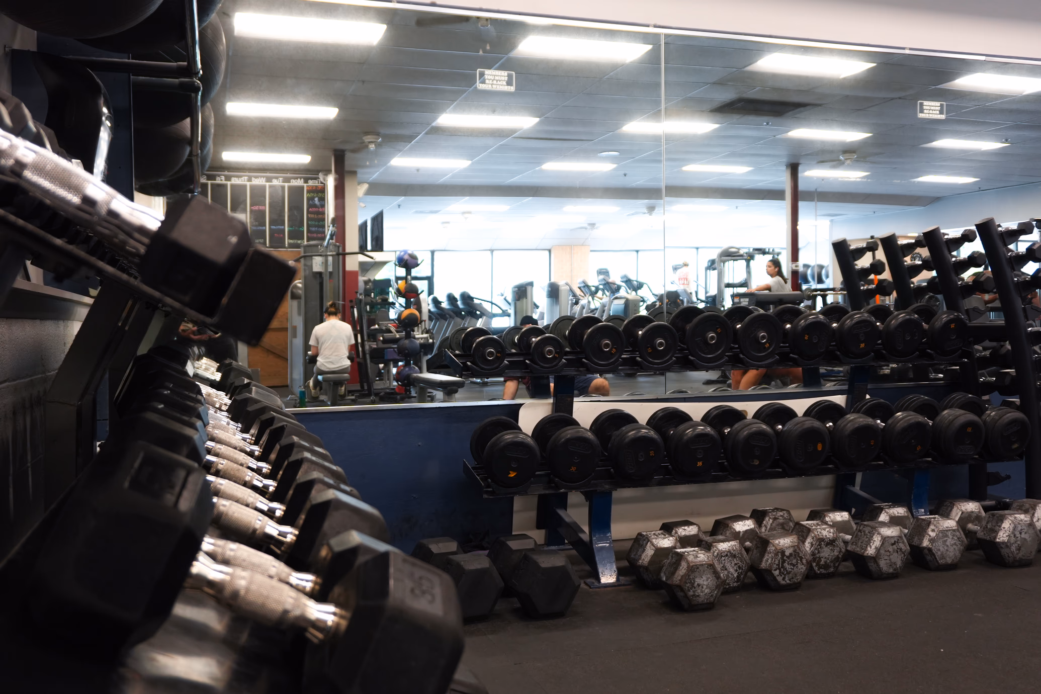 weight rack in a gym